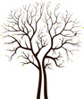 autumn tree