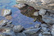 paysage côtier