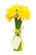 bouquet of beautiful daffodils isolated on white background