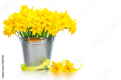 Photo: daffodils in metal bucket over white background daffodils in metal bucket over white background