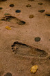 Thailand, Koh Tao Fussabdruck im Sand