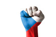Fist painted in colors of czech flag Fist painted in colors of czech flag