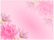 chrysanthemen