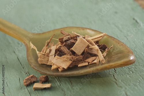 Photo: Aubier de tilleul - Plante médicinale Aubier de tilleul - Plante médicinale