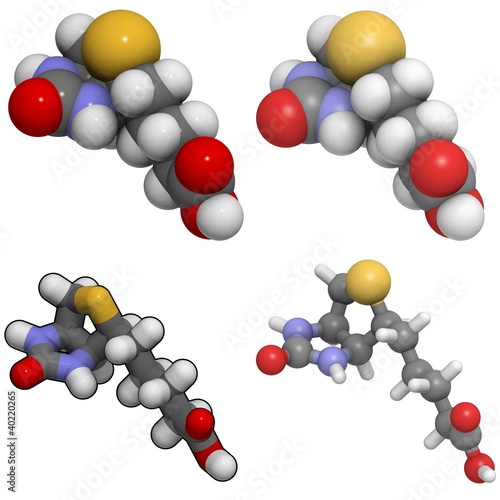 Illustration: Vitamin B7 (biotin) molecule Vitamin B7 (biotin) molecule