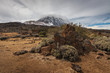 Teide cubierto de nubes