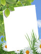 Ecology Greeting Card