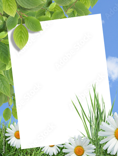 Photo: Ecology Greeting Card Ecology Greeting Card