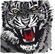 Vector: Sketch of tiger. Vector illustration Sketch of tiger. Vector illustration