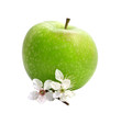 Green apple with an apple-tree flowers Green apple with an apple-tree flowers