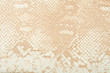 Snake skin