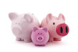 Family of piggy banks with clipping path Family of piggy banks with clipping path