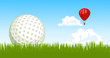 Golf ball on the grass
