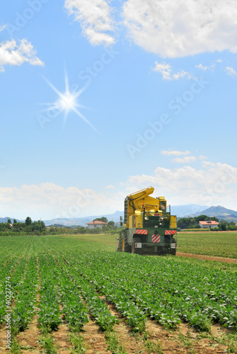 Photo: Agricultural machine for harvesting plant Agricultural machine for harvesting plant