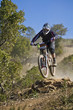 downhill competition