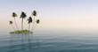 Palms