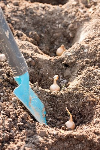 Photo: gartenarbeit gartenarbeit