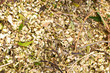 Gartenarbeit, Baumschnitt, schreddern, Mulch