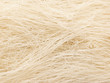 close up of rice vermicelli food background close up of rice vermicelli food background