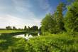 Forest lake near the green meadow