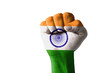 Fist painted in colors of india flag Fist painted in colors of india flag
