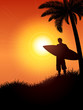 Surfer Silhouette