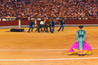 Matador and dead bull in bullfighting at Madrid