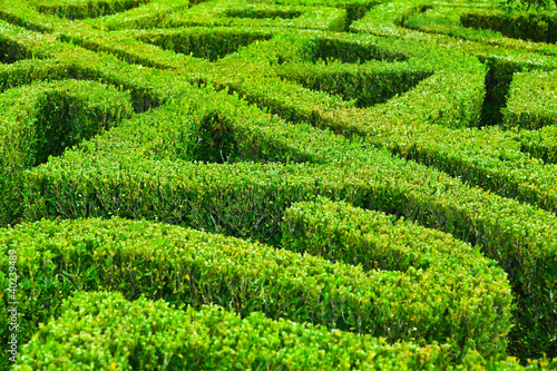 Photo: Park in Castle Escorial near Madrid Spain Park in Castle Escorial near Madrid Spain