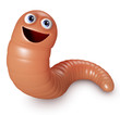 worm