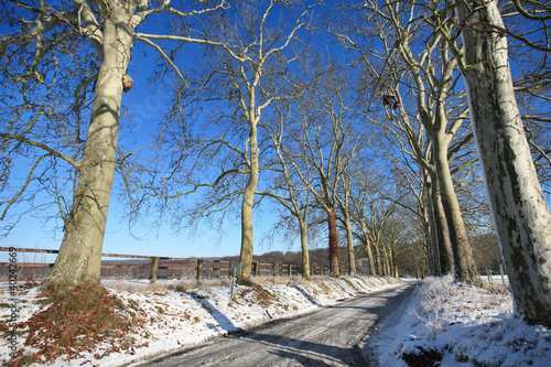 Photo : Route de campagne en hiver Route de campagne en hiver