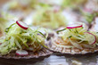 Salade, fruits de mer, gastronomie, cuisine, aliment