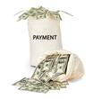 Bag with payment Bag with payment