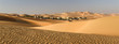 Abu Dhabi's desert dunes