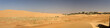 Abu Dhabi's desert dunes detail