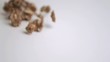 Walnut kernels falling in super slow motion