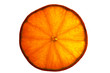 slice of orange in macro, with transapency