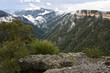 Blue mountains. Australia.