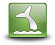 Green 3D Effect Icon Green 3D Effect Icon