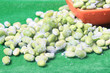 Frozen edamame