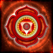 Das erste Chakra