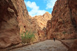 The Siq - ancient canyon in Petra, Jordan