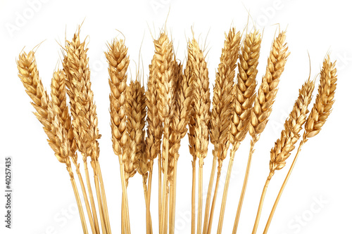 Photo: Golden Grain Golden Grain