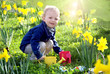 Foto: child within flowers child within flowers