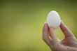 Holding an Egg