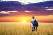 Man in yellow wheat meadow.