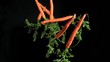 Many carrots in super slow motion coming up