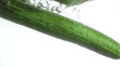 Cucumber in super slow motion dropping