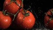 Raindrops in super slow motion falling on tomatoes