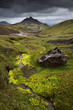 Laugavegur area