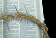 Easter Crown